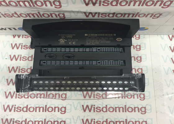 VAN DE DRAGERversamax LOKALE DOOS VAN GE I/O IC200CHS002M GEÏNTEGREERDE TYPE STIJL