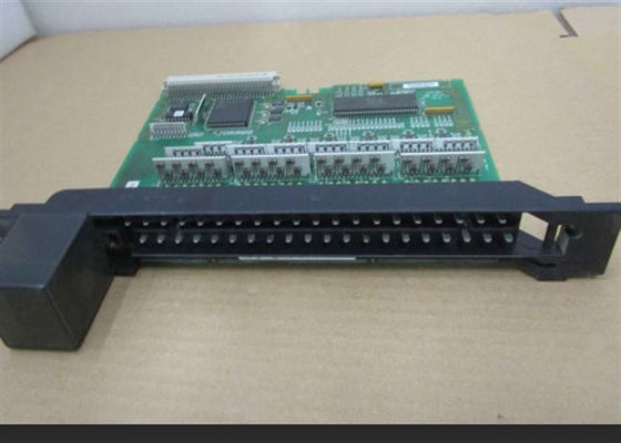 GE FANUC IC693ALG221 250 OHMS 325 HZ 100 MA VAN HET GEISOLEERDE +24 V-toevoer