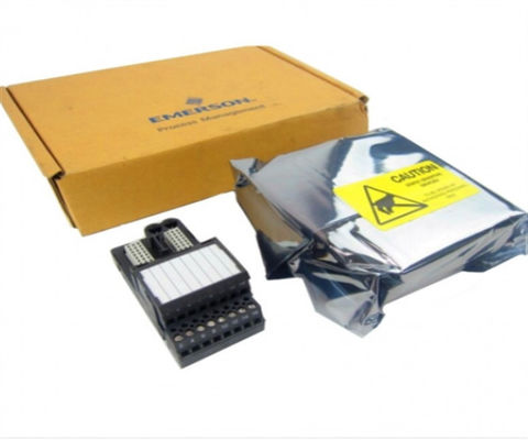 Emerson DeltaV VE4003S2B9 16-kanaal 2-draad AI-terminalblok voor industriële automatisering
